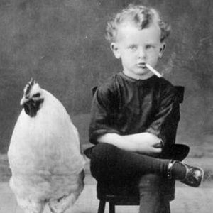 Meet your Posher, Jill